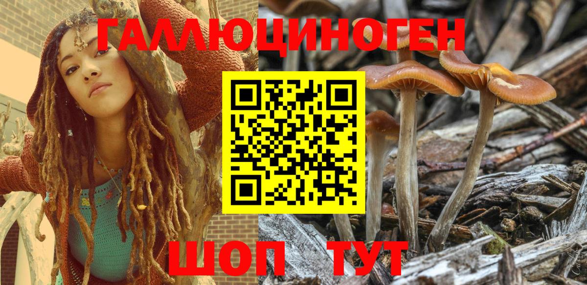 Галлюциногенные грибы Magic Shrooms  Вход с VPN  Аргун 