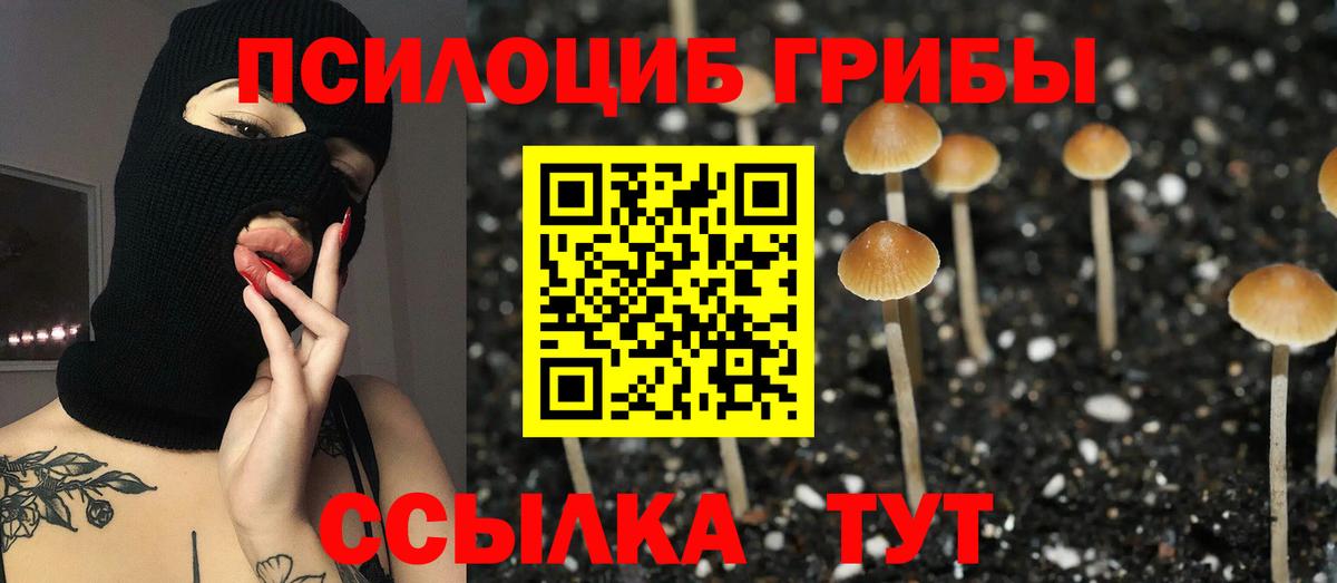 Псилоцибиновые грибы прущие грибы Аргун